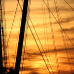 Windward Design Group Strategic Creativity and Marketing Expertise