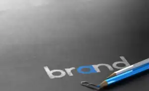 Professional branding and logo design services by Windward Design Group.